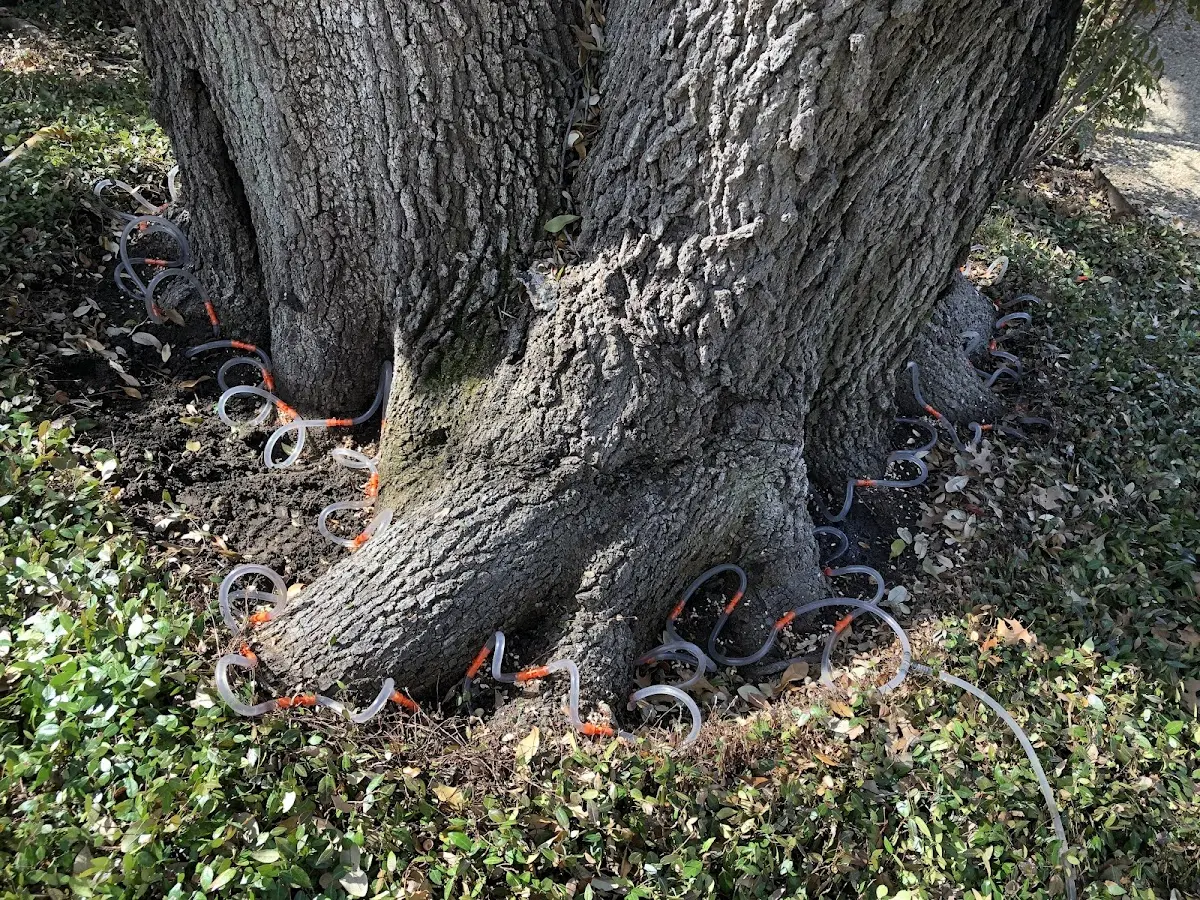 Detailed Shrub and Hedge Trimming job site in Hitchita