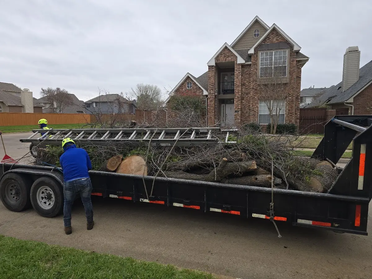 Expert Lot Clearing with proper safety equipment in Hitchita